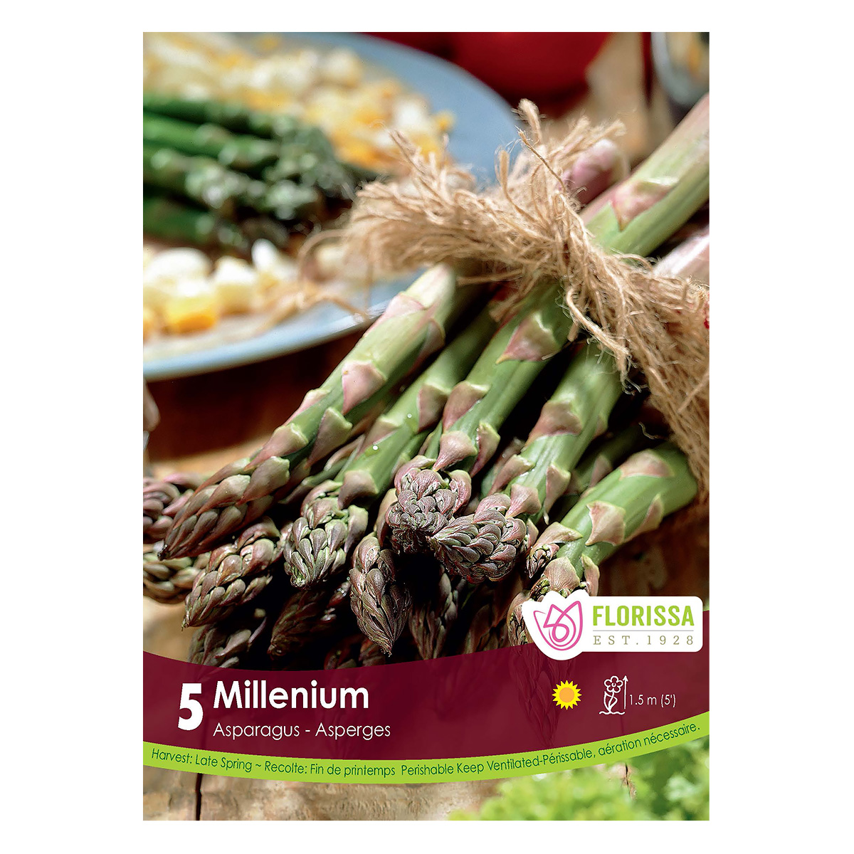 Asparagus 'Millennium' Roots