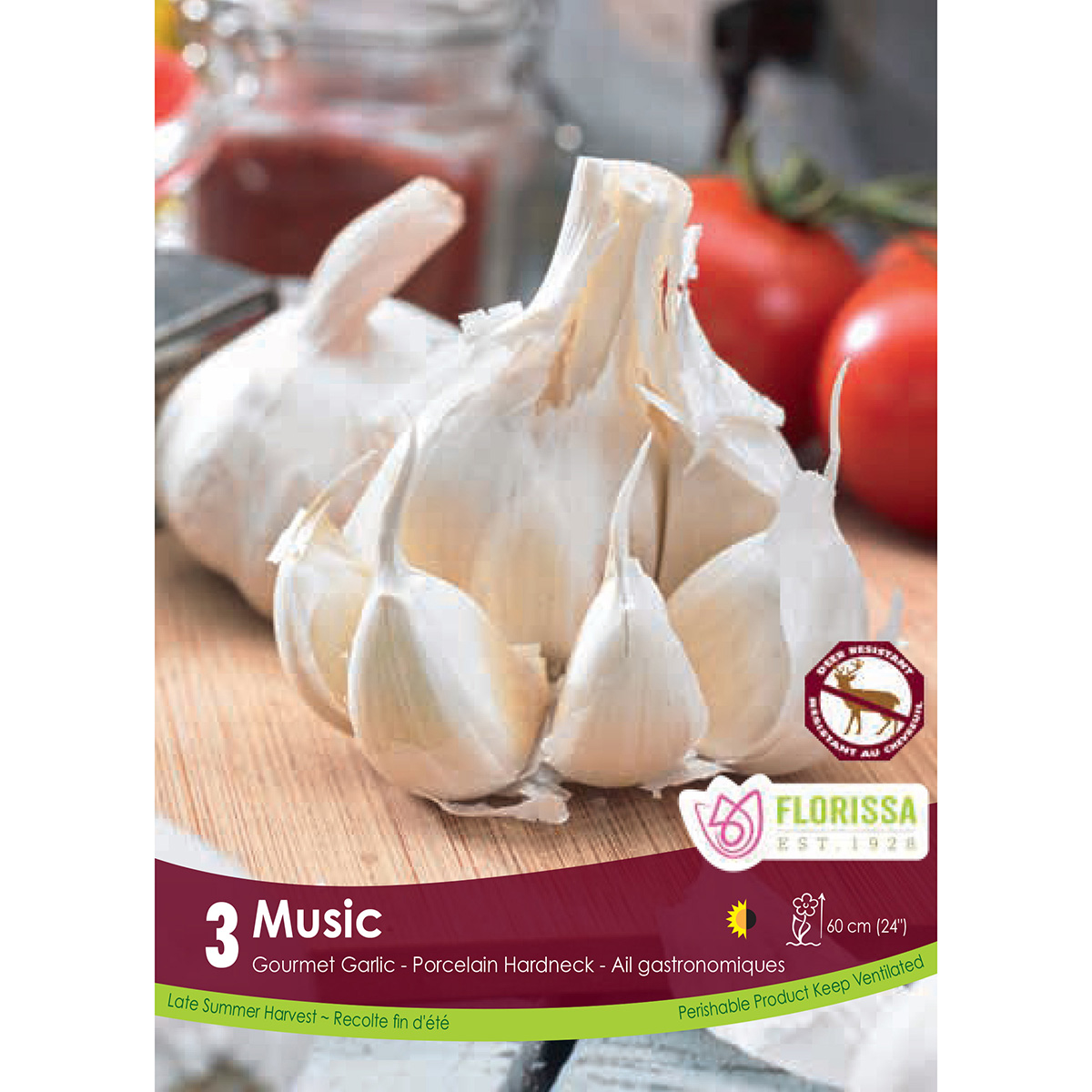 Garlic 'Music' Bulbs 3PK