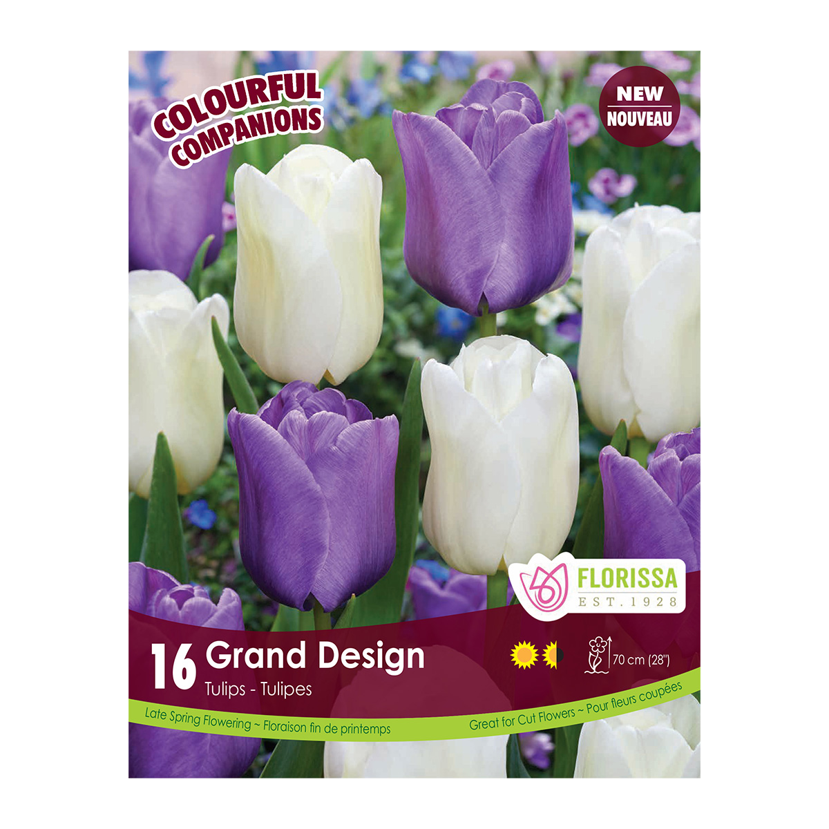 Colourful Companions Tulipa 'Grand Design' 16PK