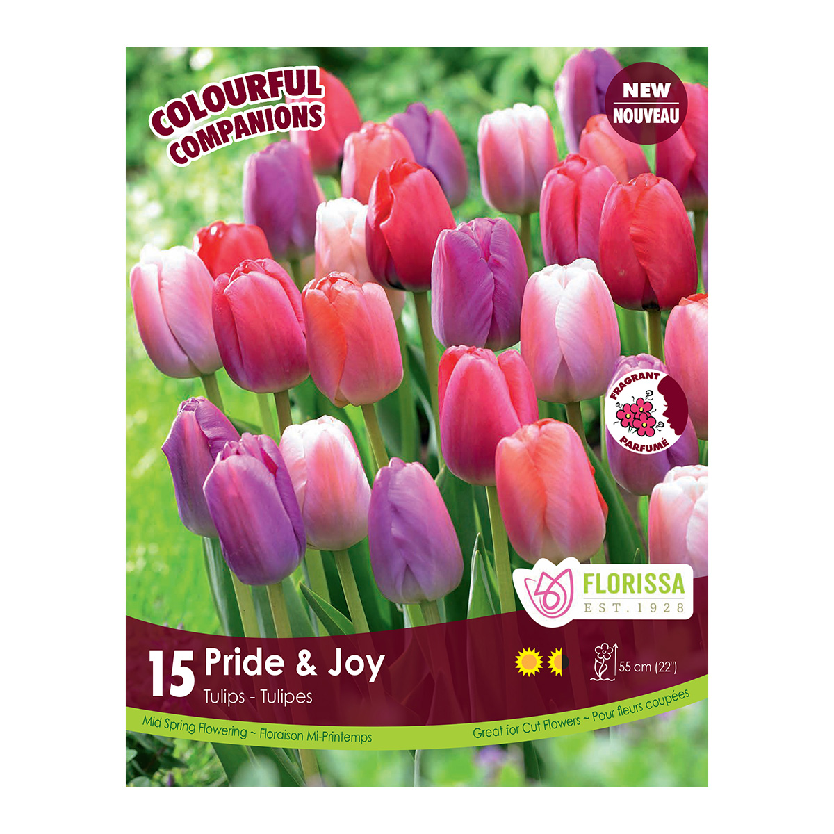 Colorful Companions Tulips  'Pride & Joy' 15PK 