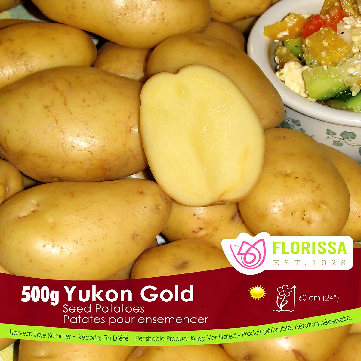 Organic Seed Potato 'Yukon Gold' 