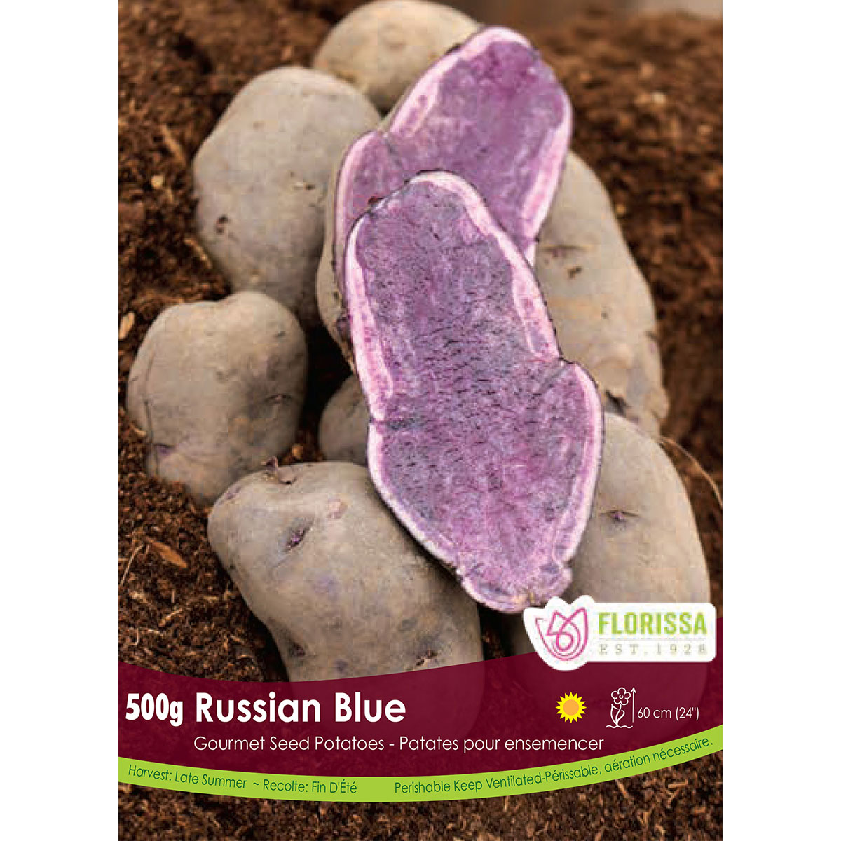 Gourmet Seed Potatoes 'Russian Blue' 500g