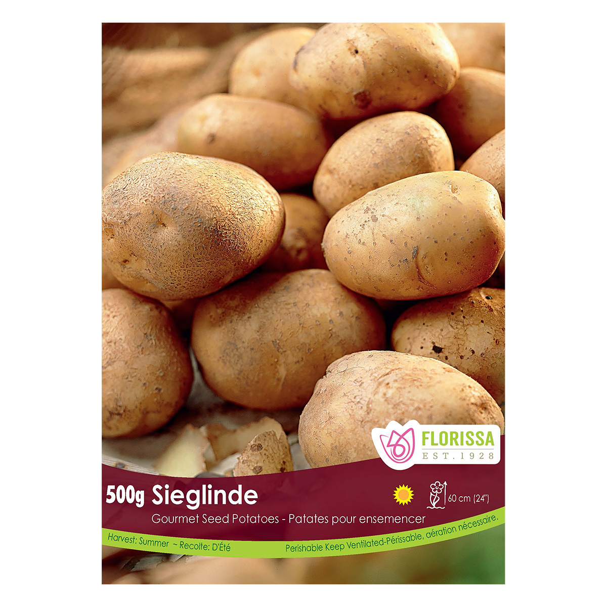 Gourmet Seed Potatoes 'Sieglinde' 500g