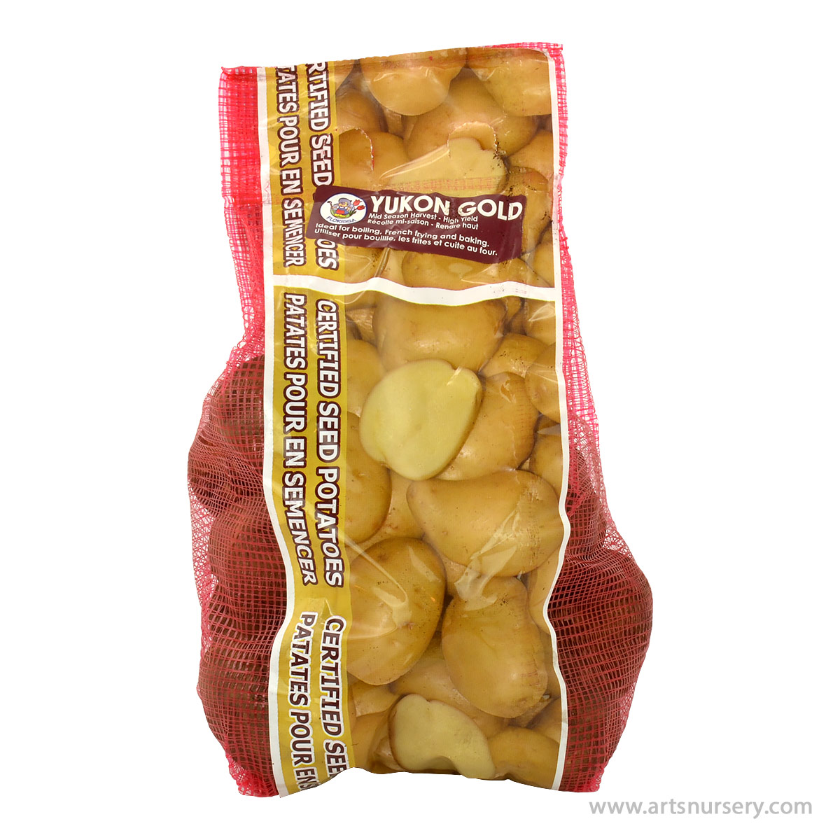 Seed Potato 'Yukon Gold'
