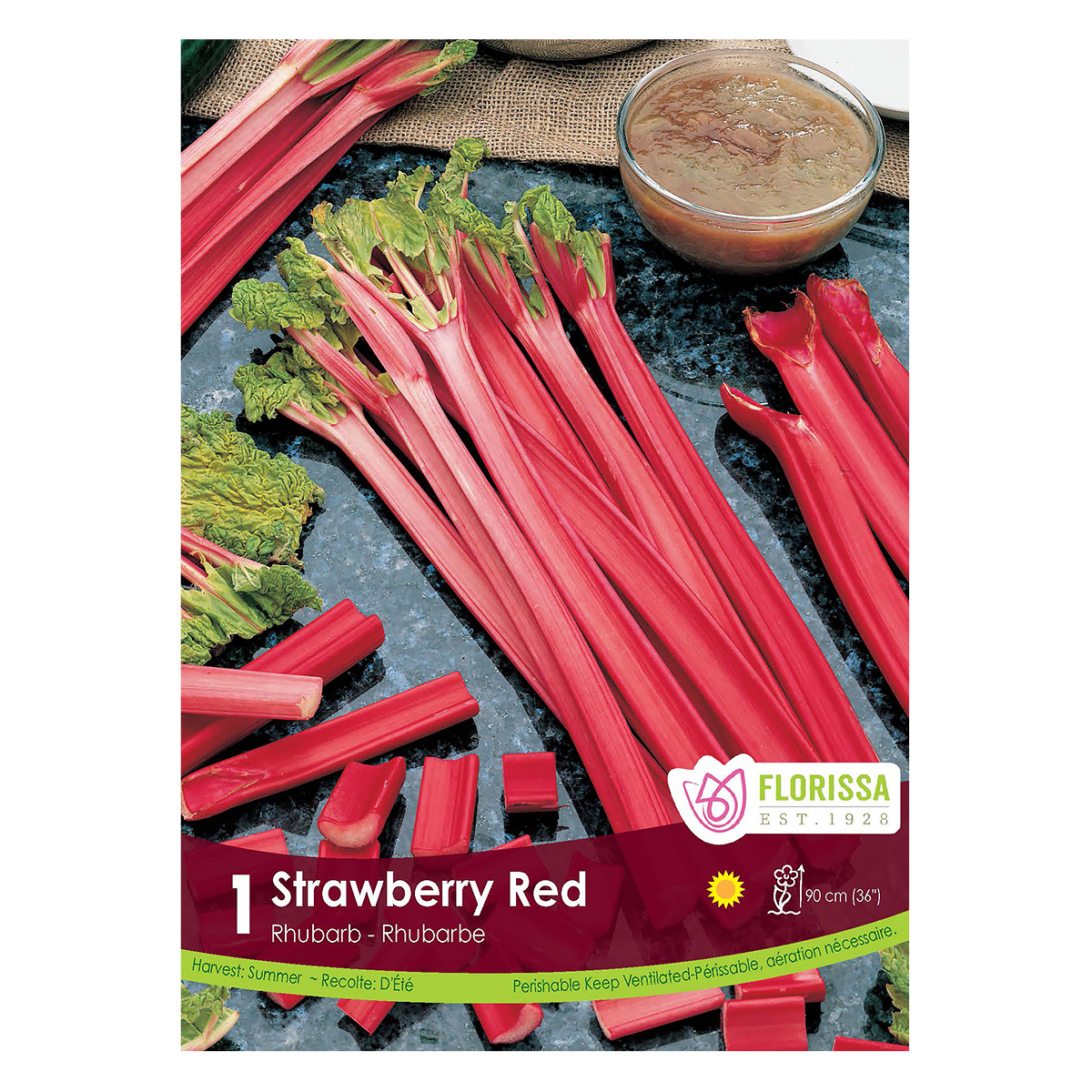 Rhubarb 'Strawberry Red' Root
