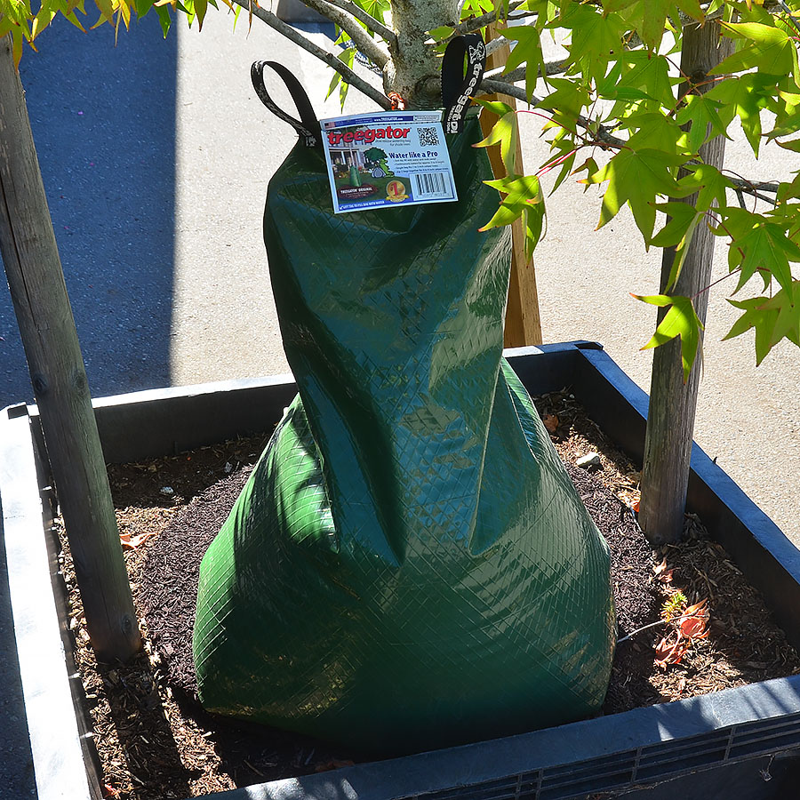 Treegator Original Slow Release Watering Bag 