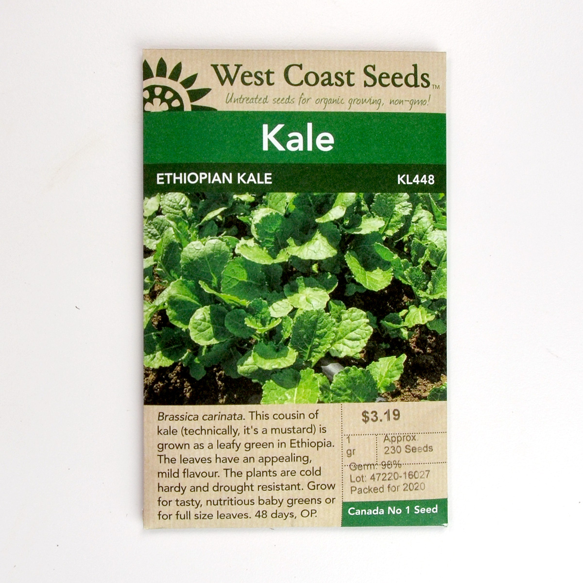 Kale Ethiopian Kale Seeds KL448 