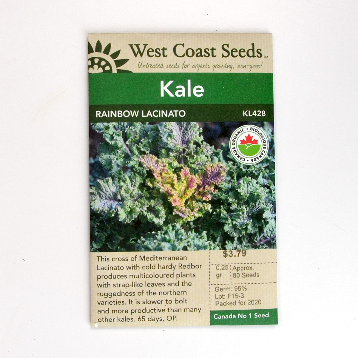 Kale Rainbow Lacinato Seeds KL428
