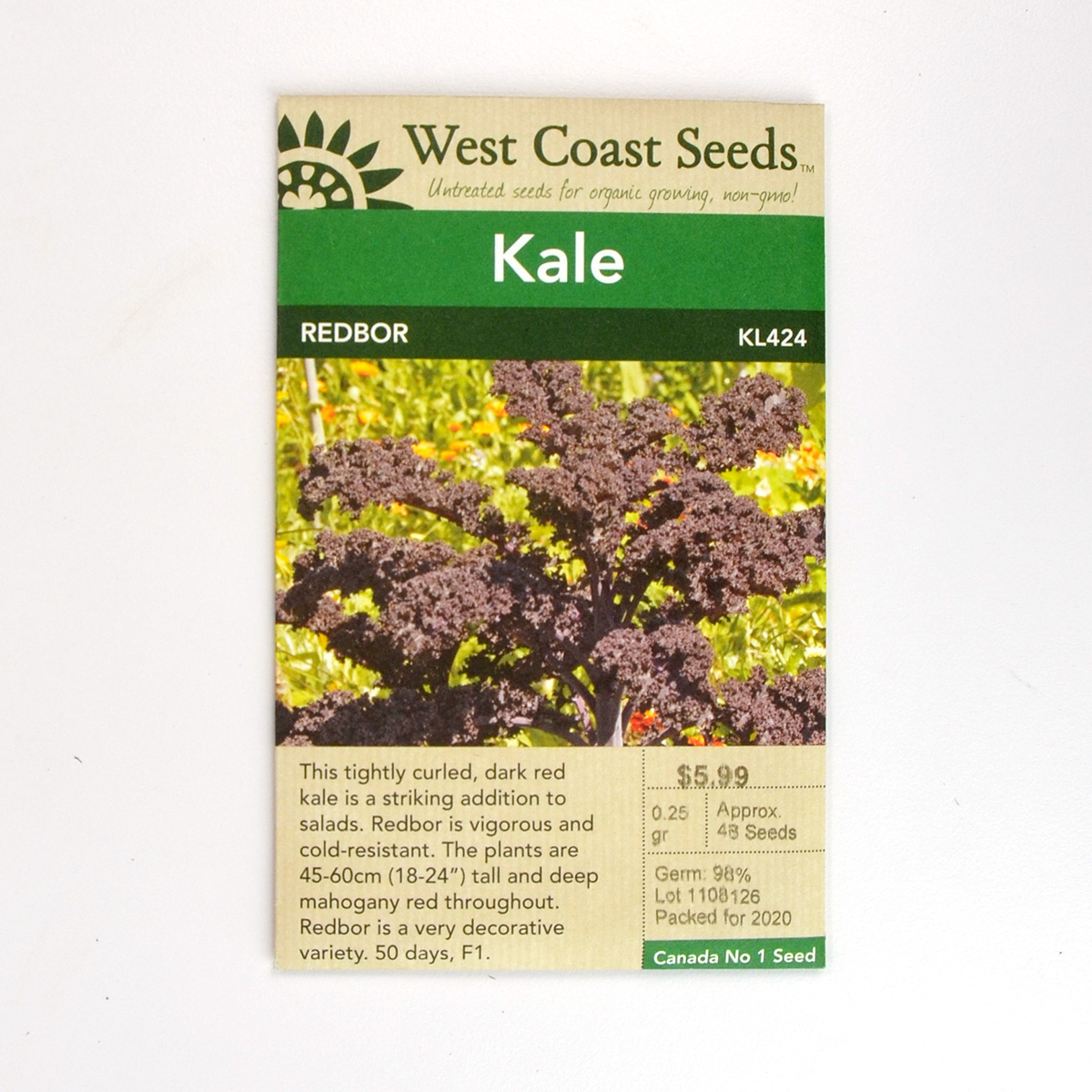 Kale Redbor Seeds KL424 
