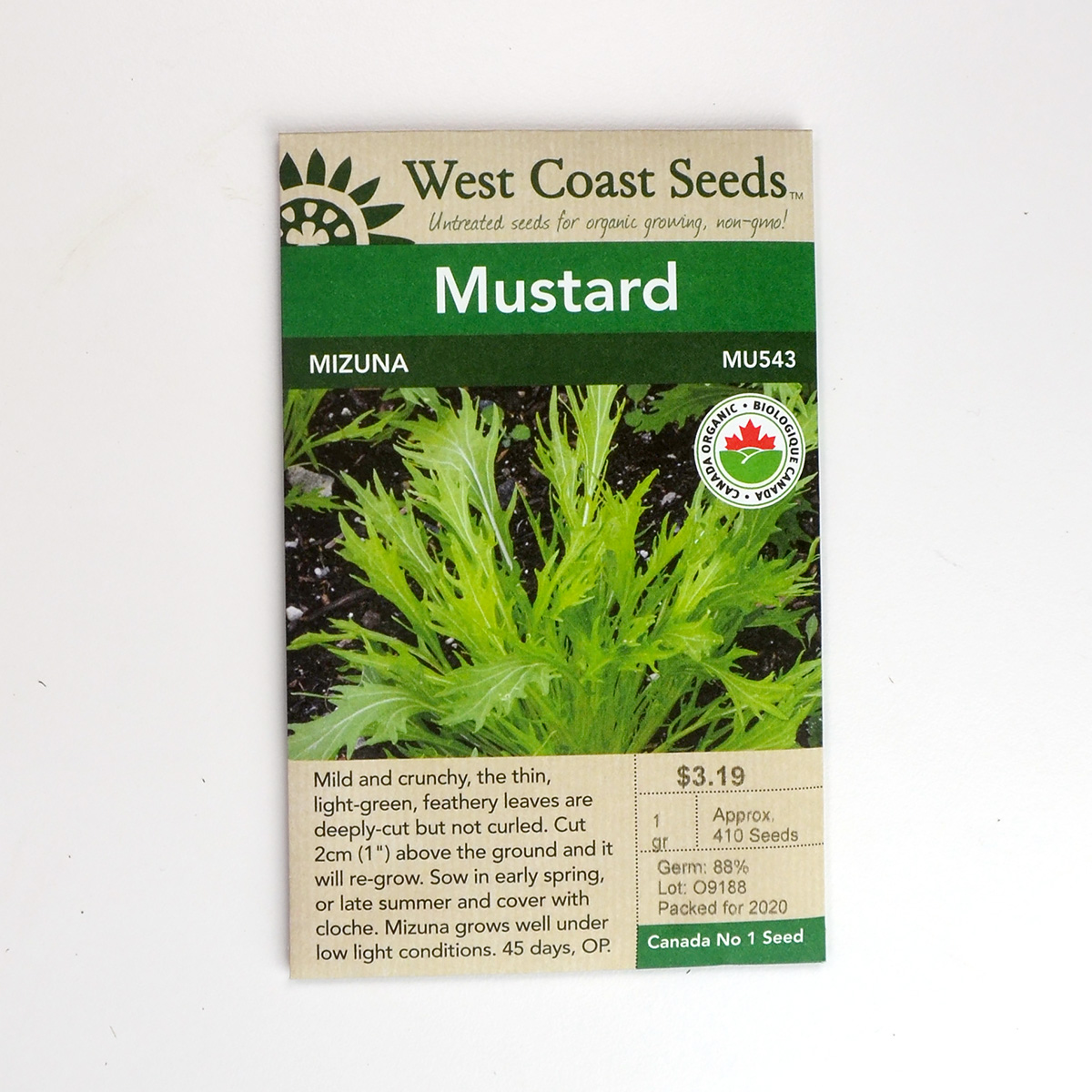 Mustard Mizuna Seeds MU543