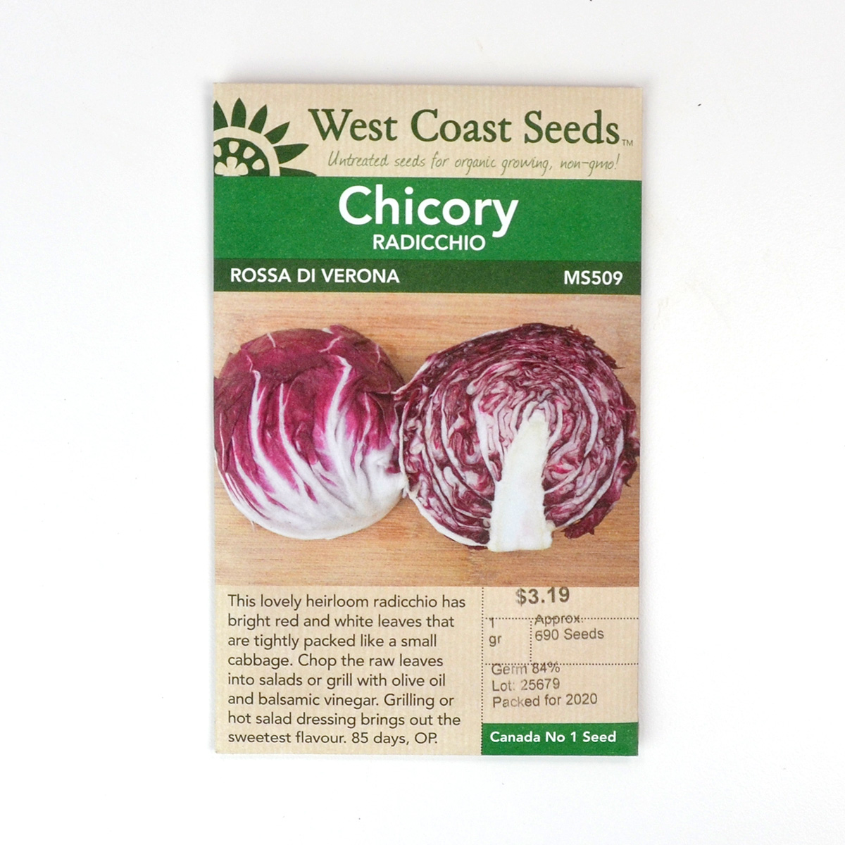 Chicory radicchio Rossa Di Verona seeds MS509