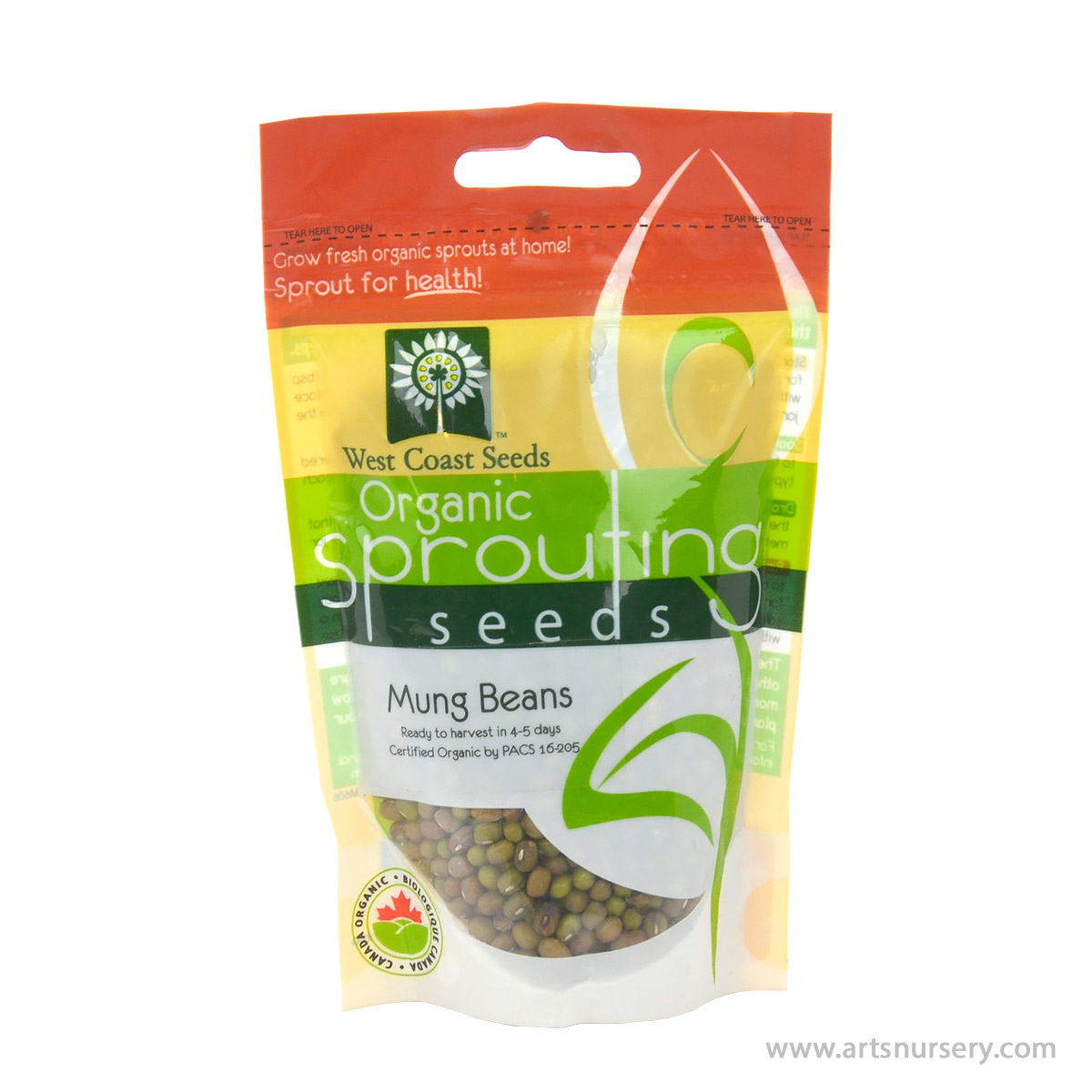 Mung Bean Organic Sprouts