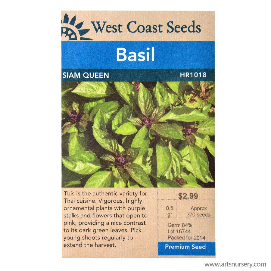 Basil Siam Queen Seeds HR1018