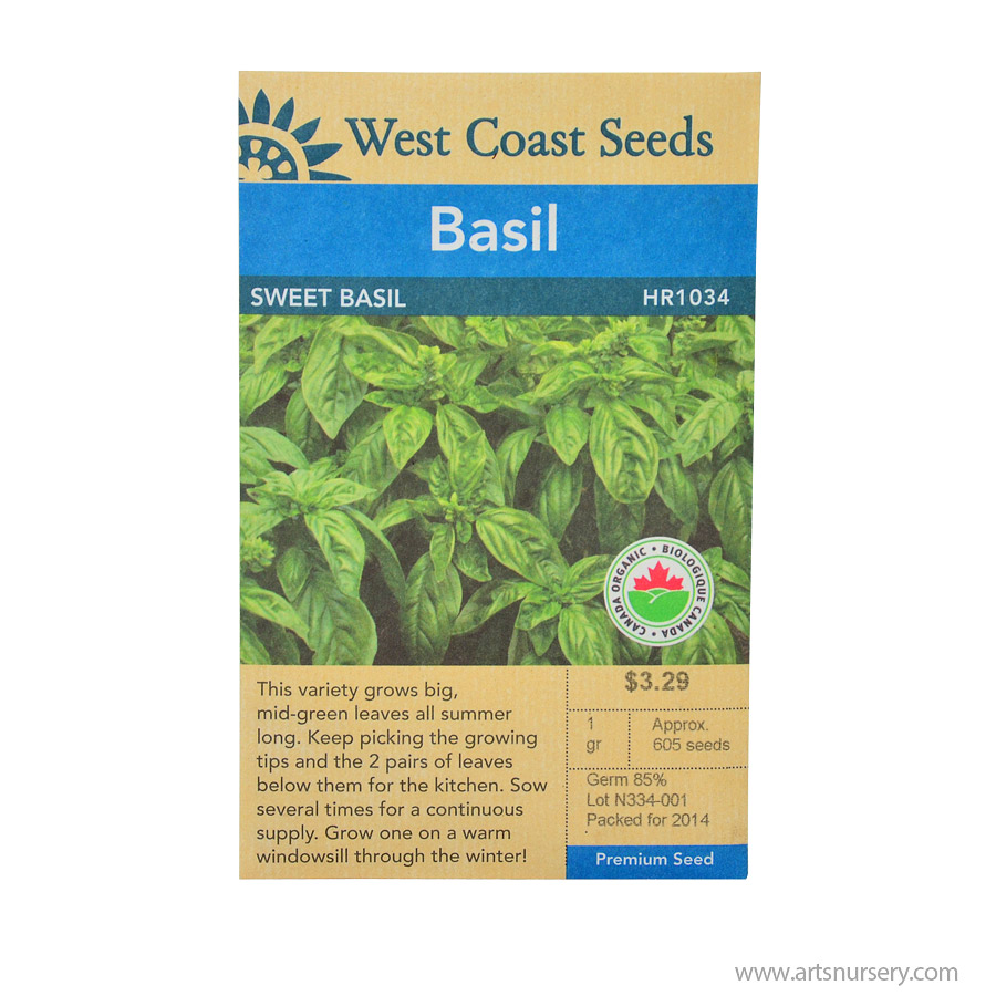 Basil Sweet Seeds HR1033