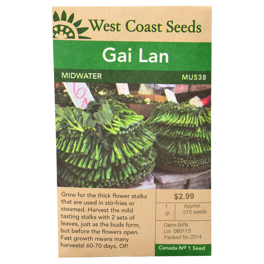 Gai Lan Midwater Seeds MU538 