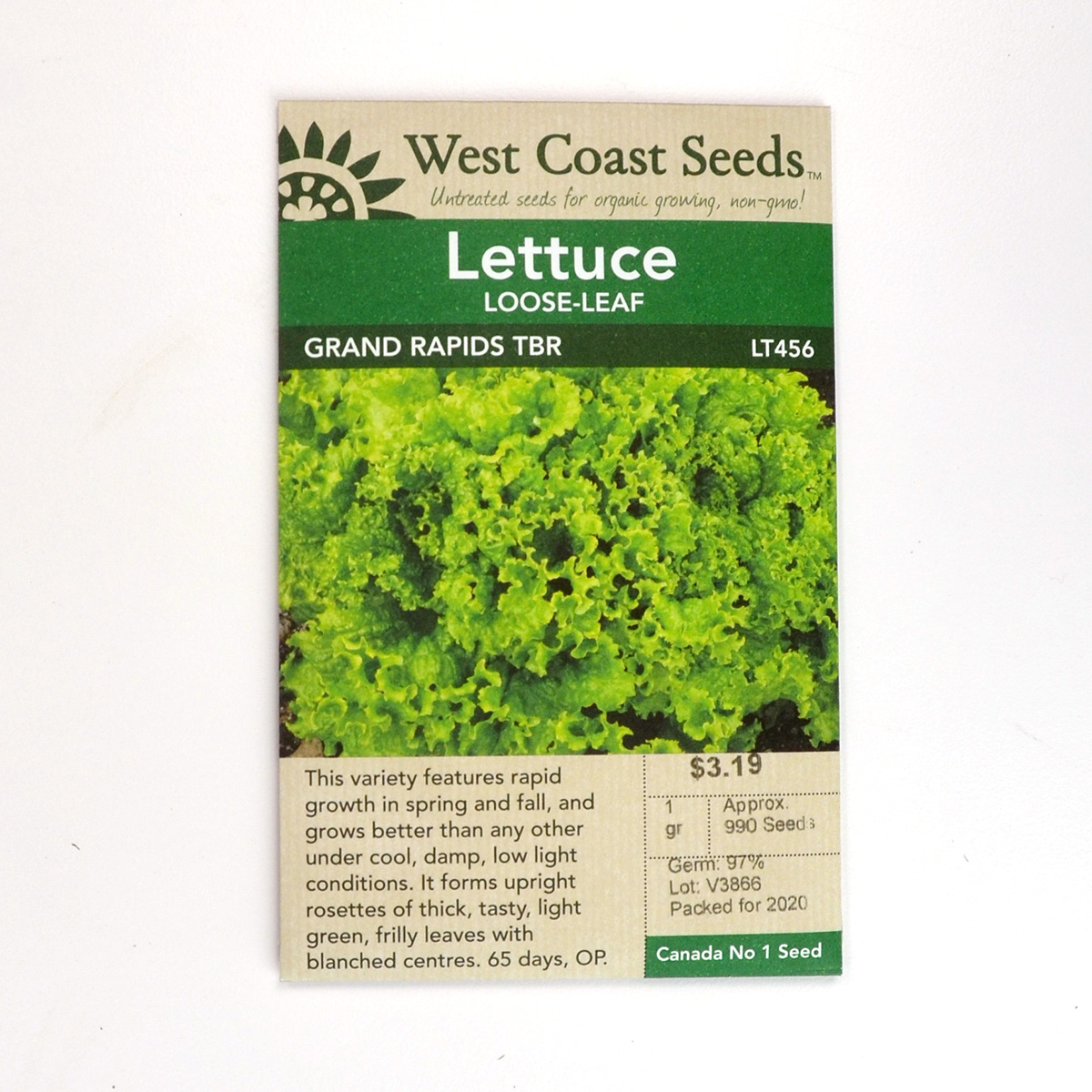 Lettuce Loose-Leaf  Grand Rapids TBR Seeds  LT456