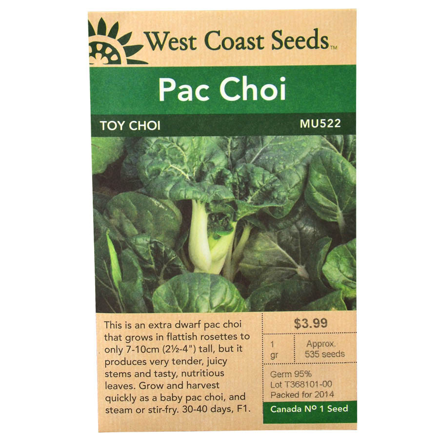 Pac Choi Toy Choi Seeds MU552