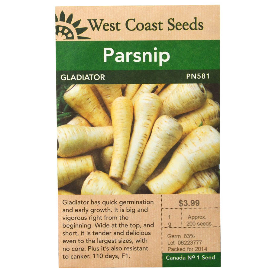 Parsnip Gladiator Seeds PN581