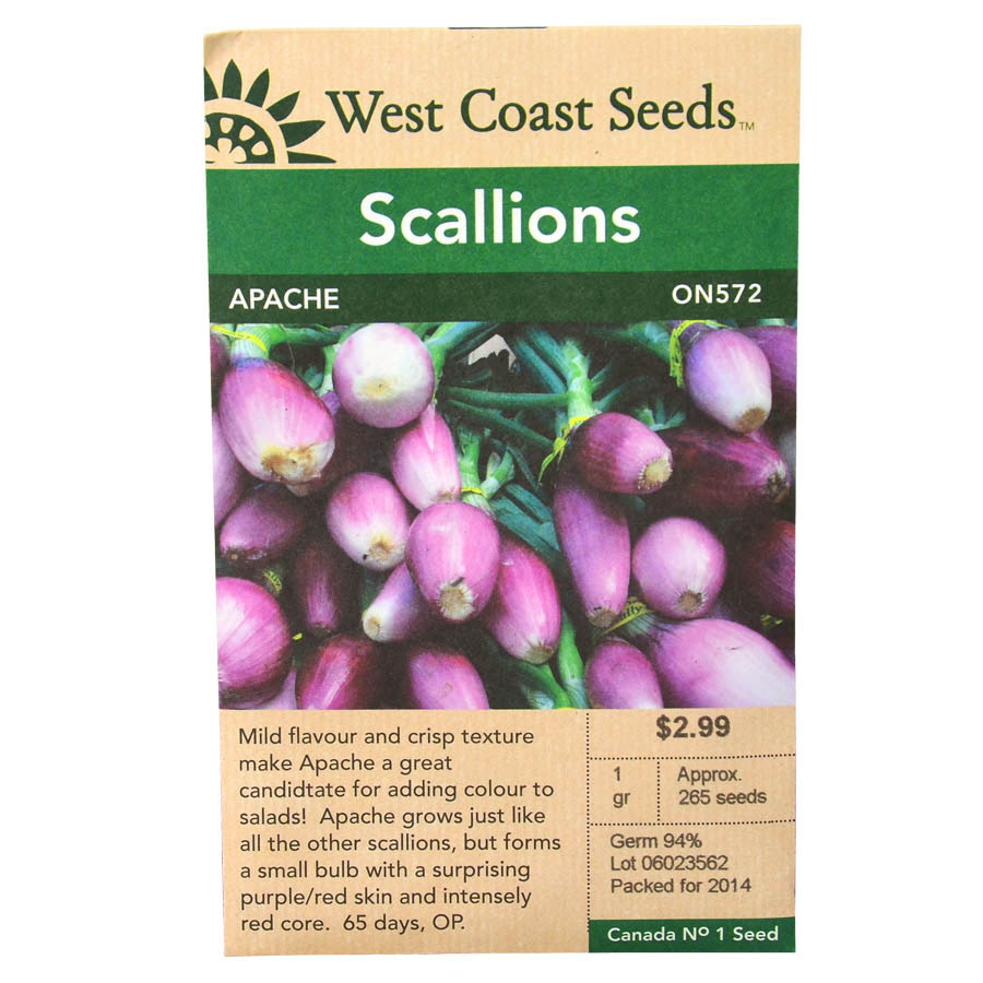 Onion Apache Scallion Seeds ON572