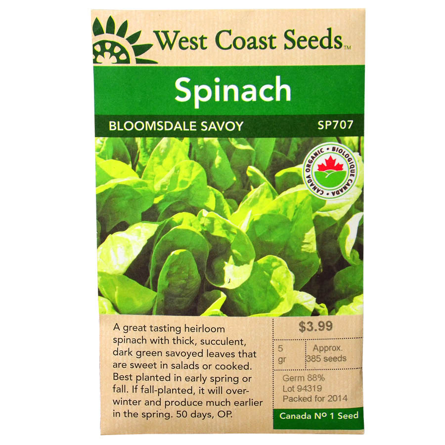 Spinach Bloomsdale Savoy Seeds SP701