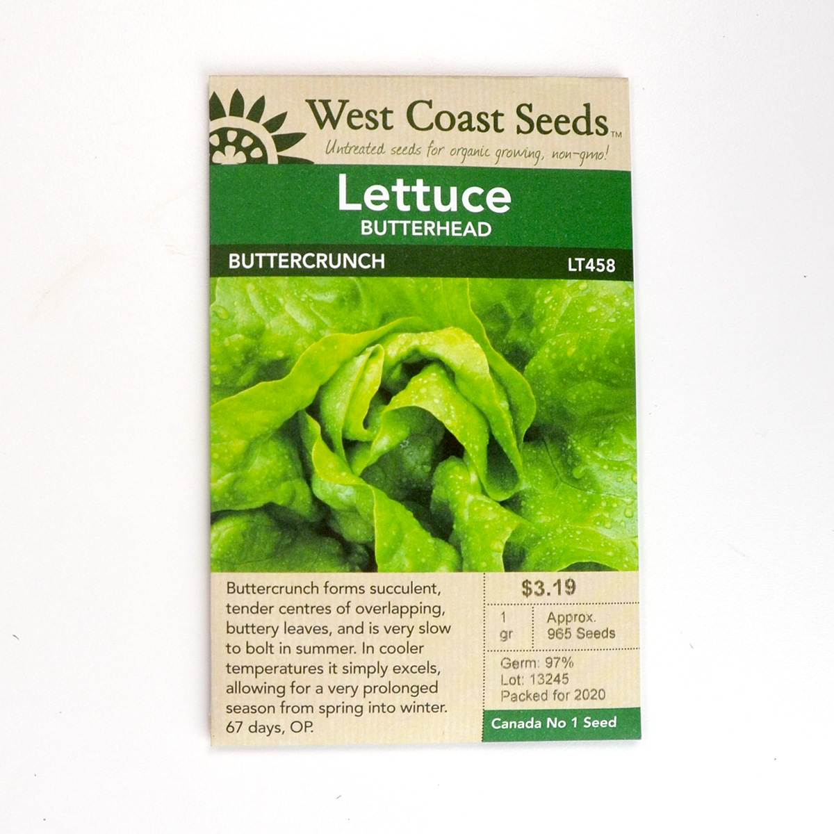 Lettuce Buttercrunch Seeds LT458