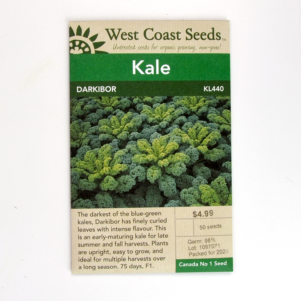 Kale Darkibor Seeds KL440 