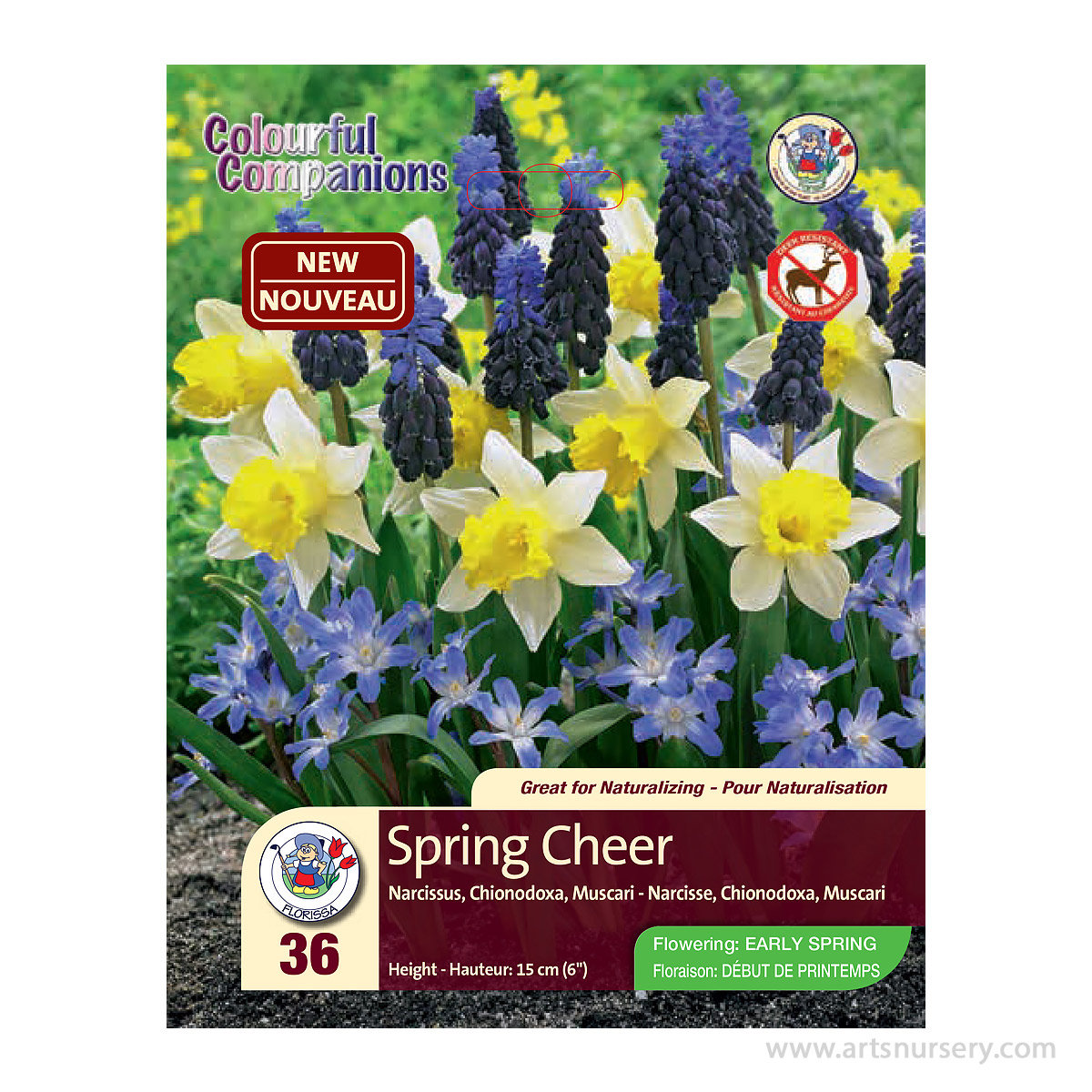 Colourful Companions Bulb Mix 'Spring Cheer' 36PK