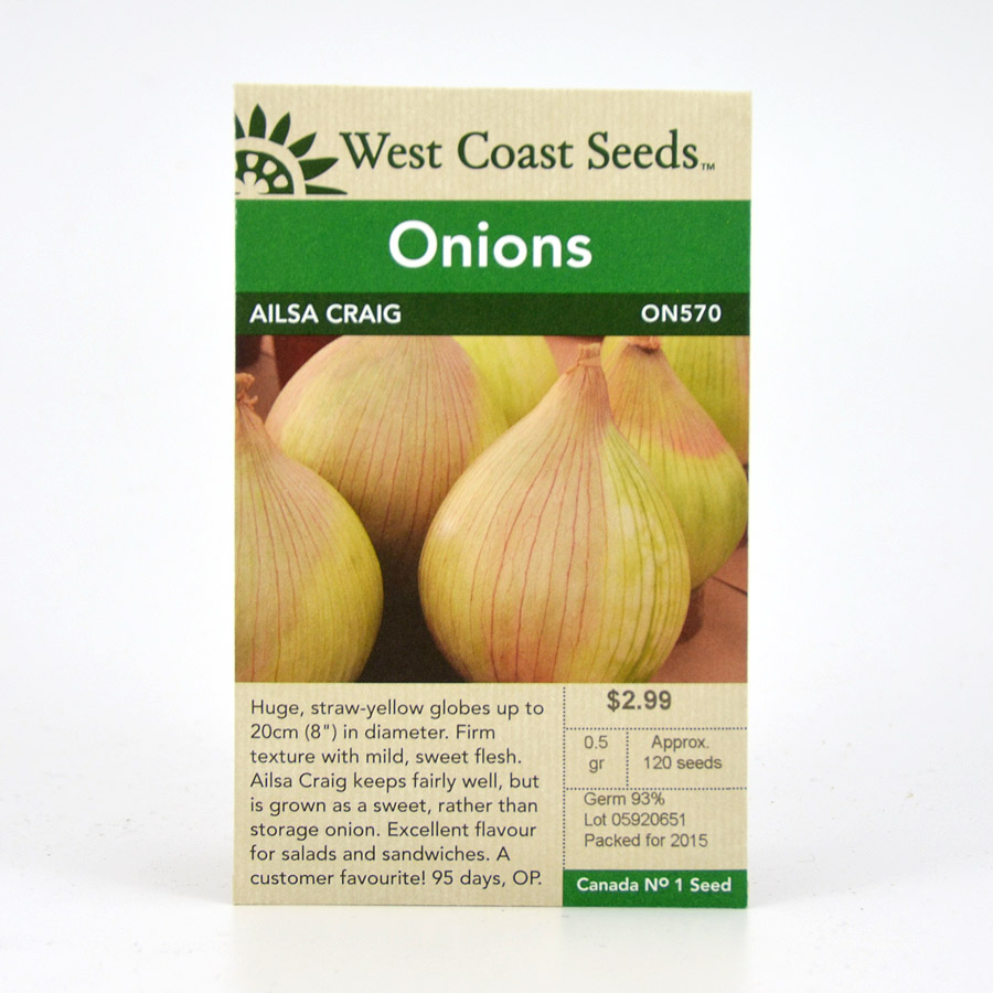 Ailsa Craig Onion Seeds ON570