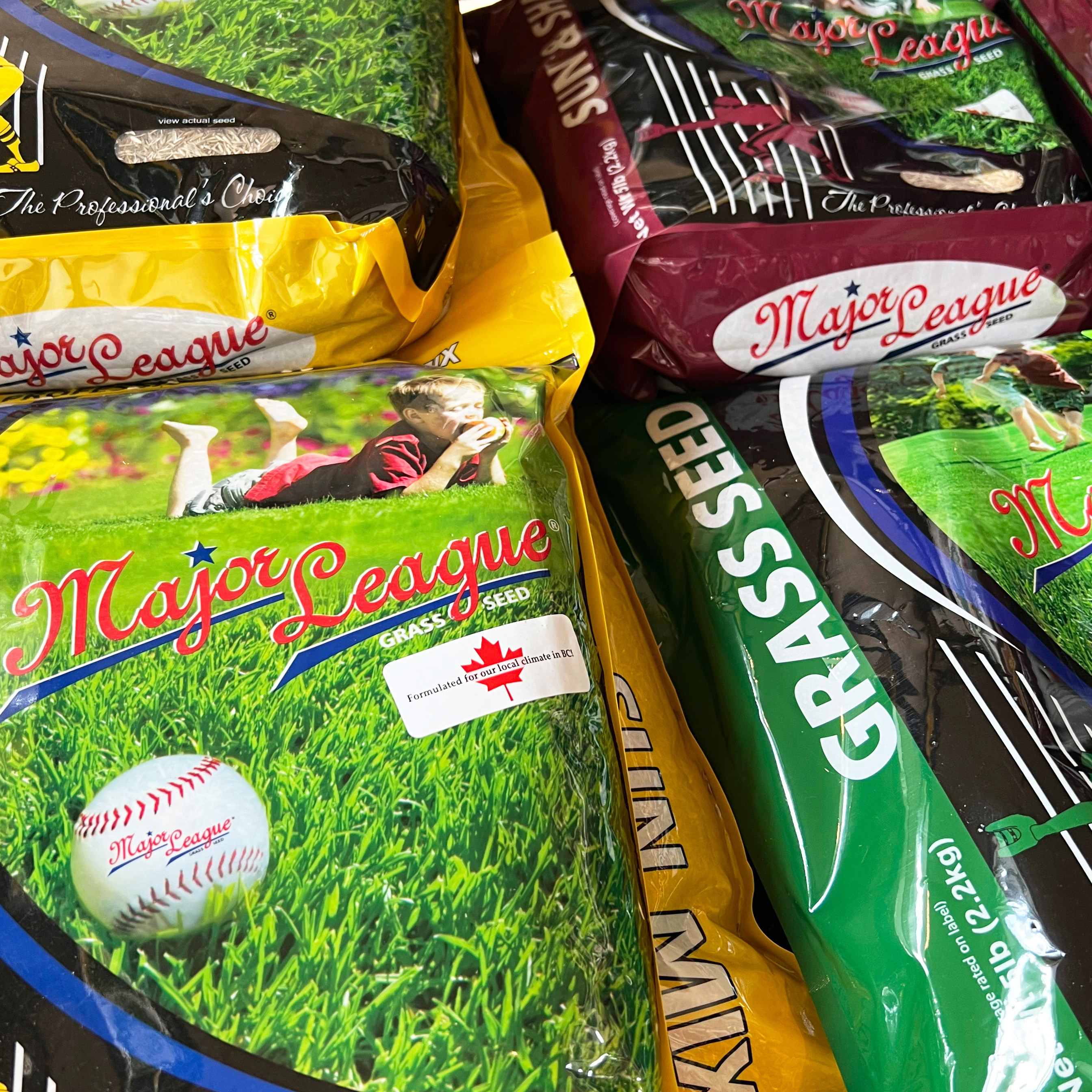 Major League Grass Seed 