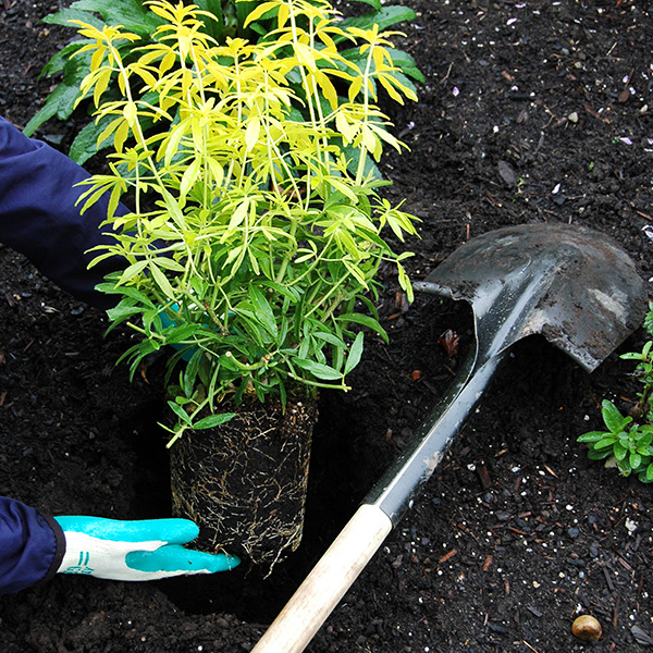 Gardening Essentials