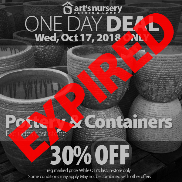 Pottery Sale