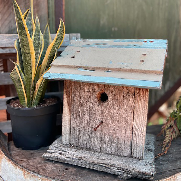 Bird Houses