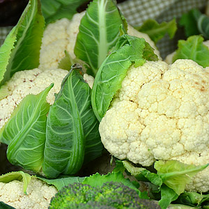 Seeds - Cauliflower