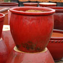 Ceramic & Glazed Planters