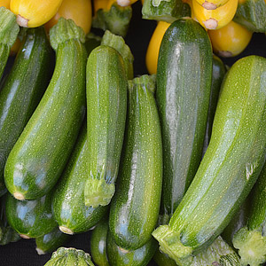 Seeds - Squash