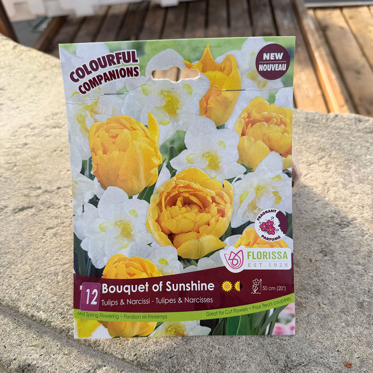 Florissa Colourful Companions Bouquet of Sunshine flower bulb package