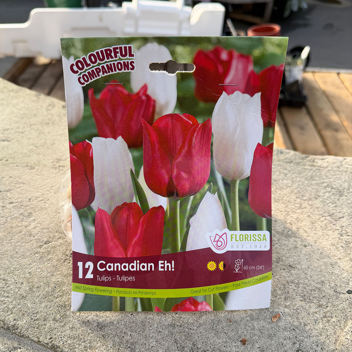 Florissa Colourful Companions Canadian Eh! flower bulb package