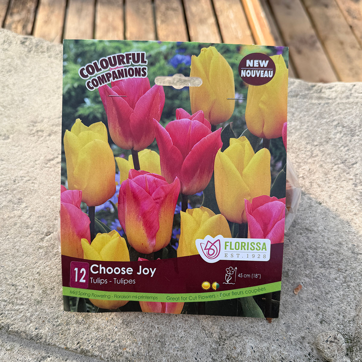 Florissa Colourful Companions Choose Joy flower bulb package