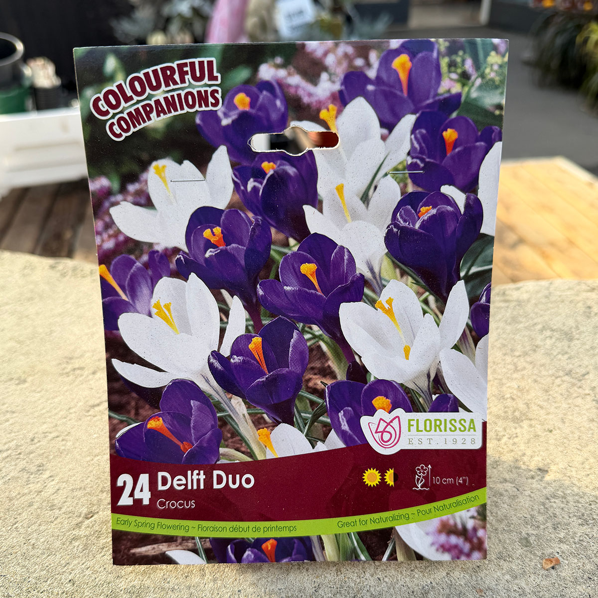 Florissa Colourful Companions Delft Duo flower bulb package