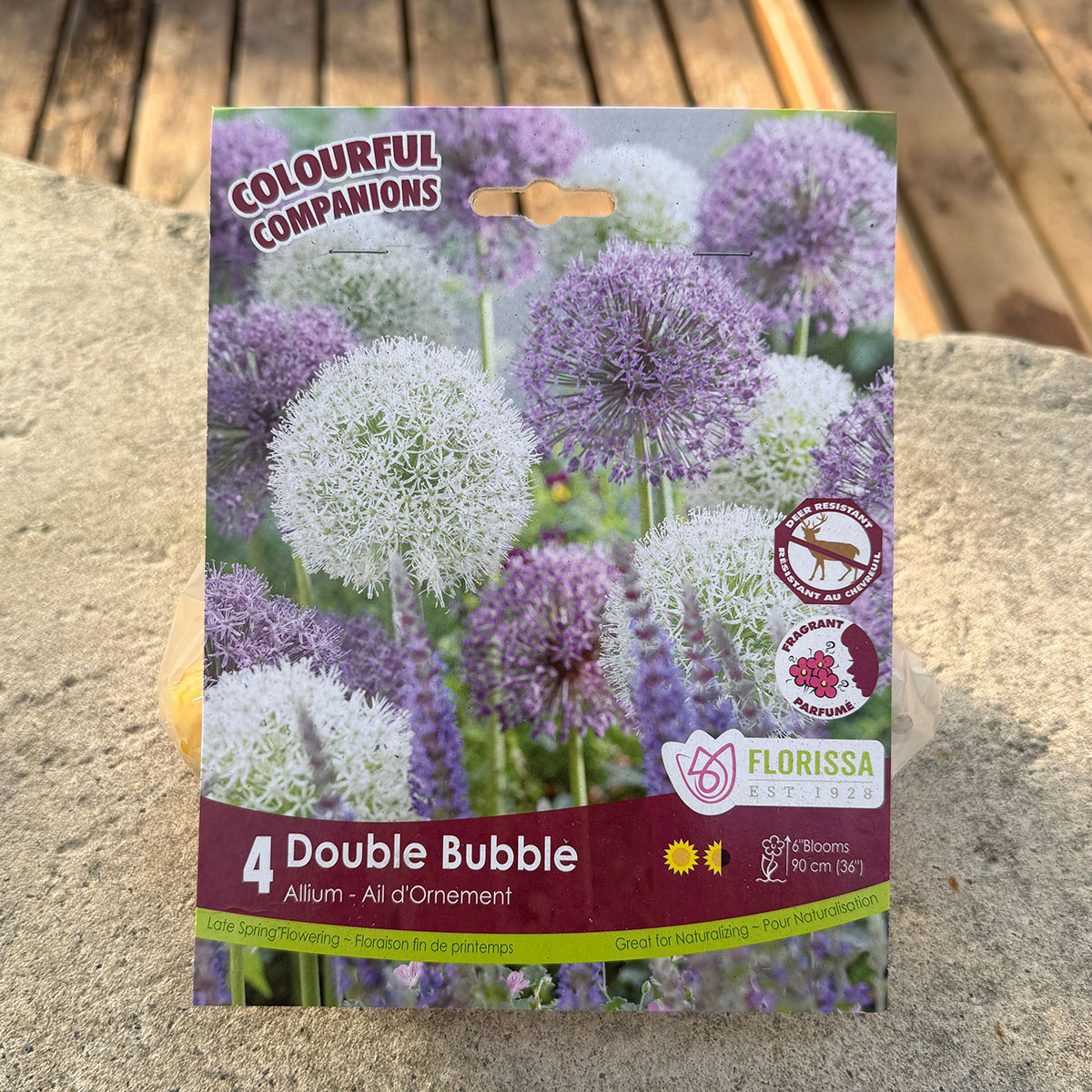 Florissa Colourful Companions Double Bubble flower bulb package