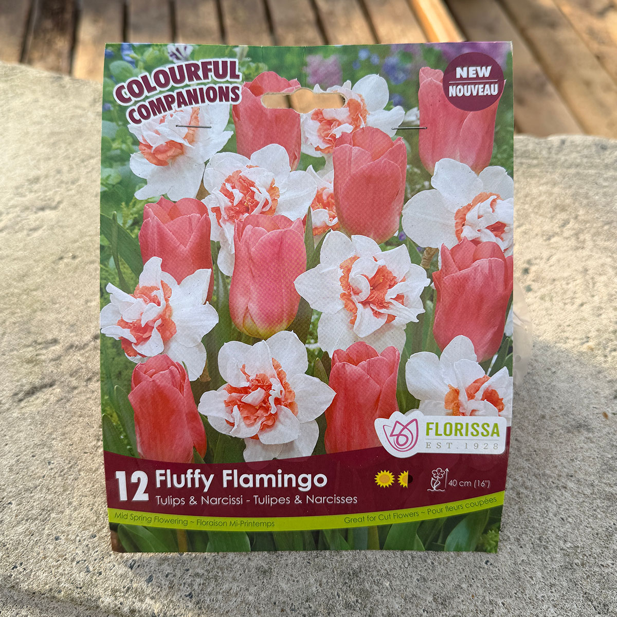 Florissa Colourful Companions Fluffy Flamingo flower bulb package