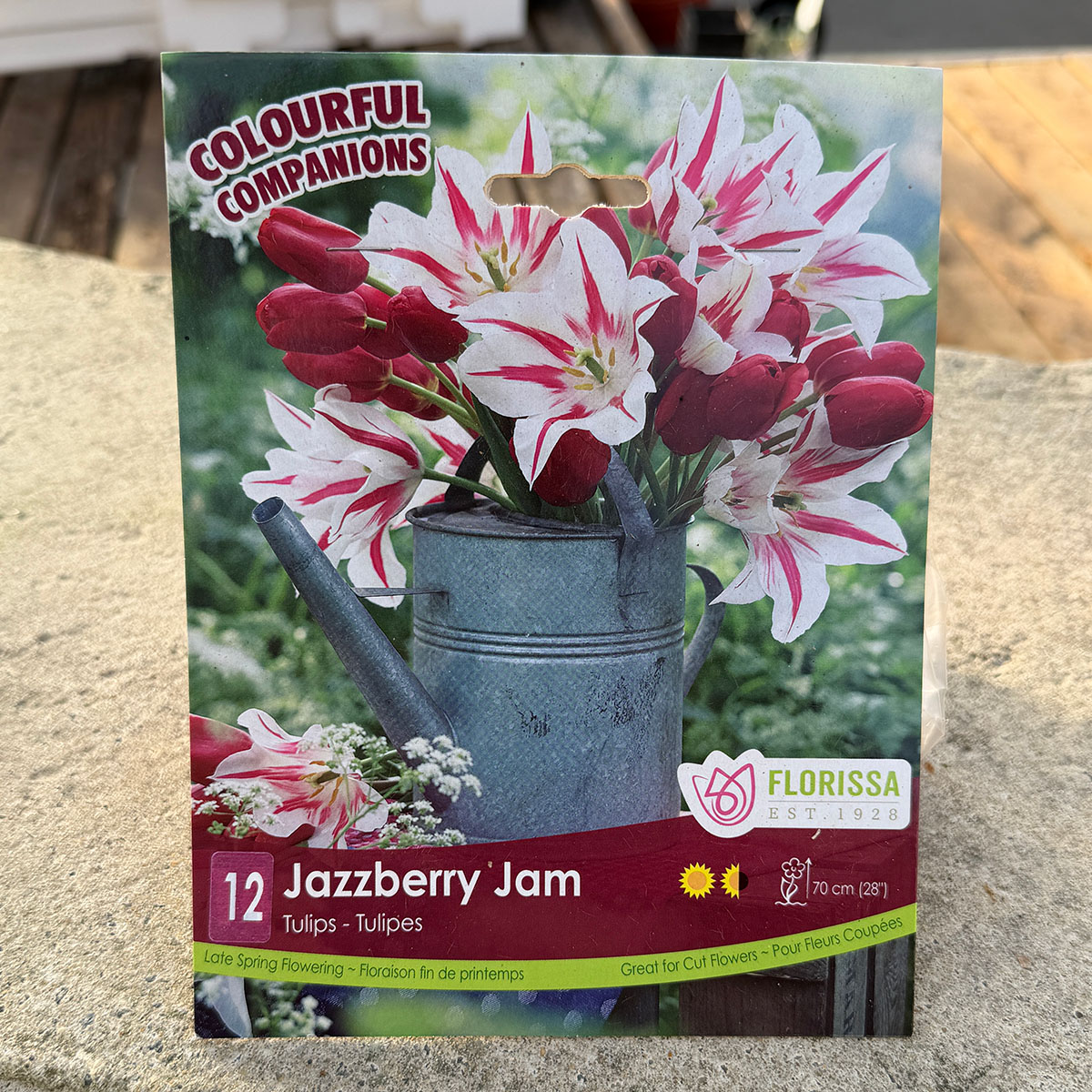 Florissa Colourful Companions Jazzberry Jam flower bulb package