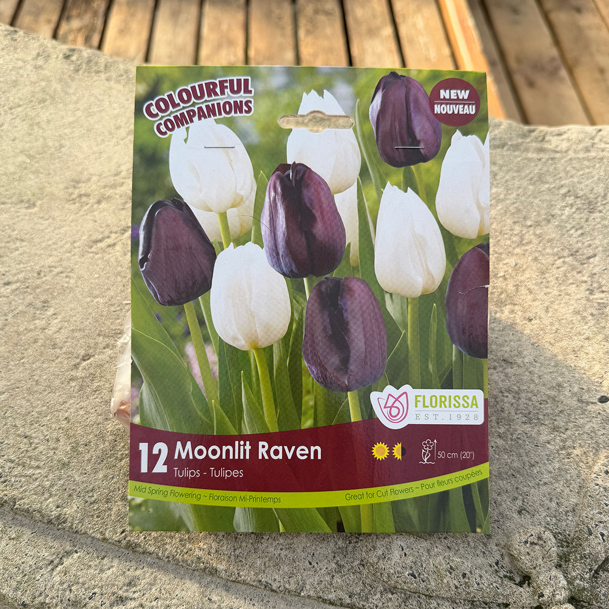 Florissa Colourful Companions Moonlit Raven flower bulb package