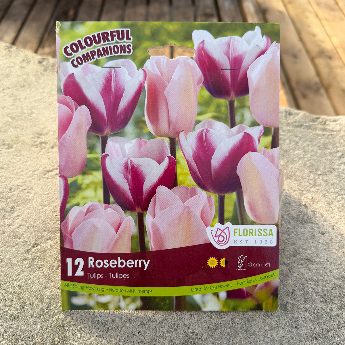 Florissa Colourful Companions Roseberry flower bulb package