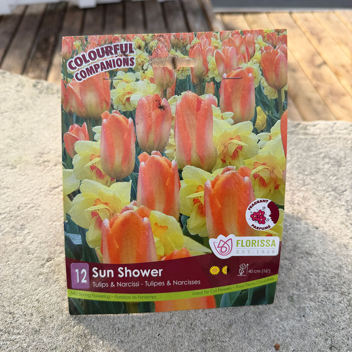 Florissa Colourful Companions Sun Shower flower bulb package