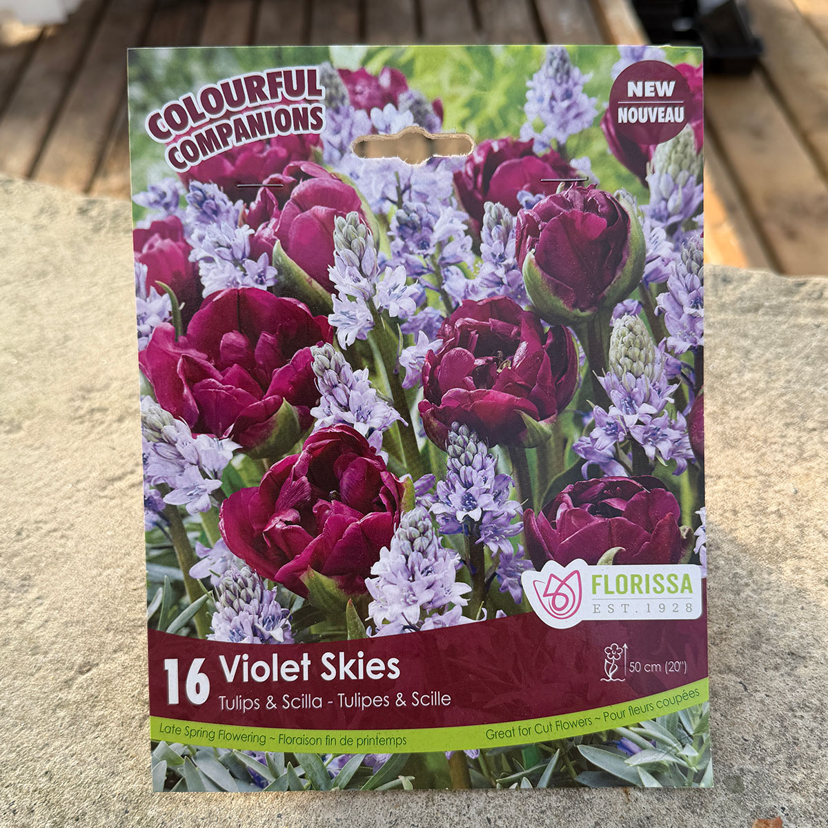 Florissa Colourful Companions Violet Skies flower bulb package
