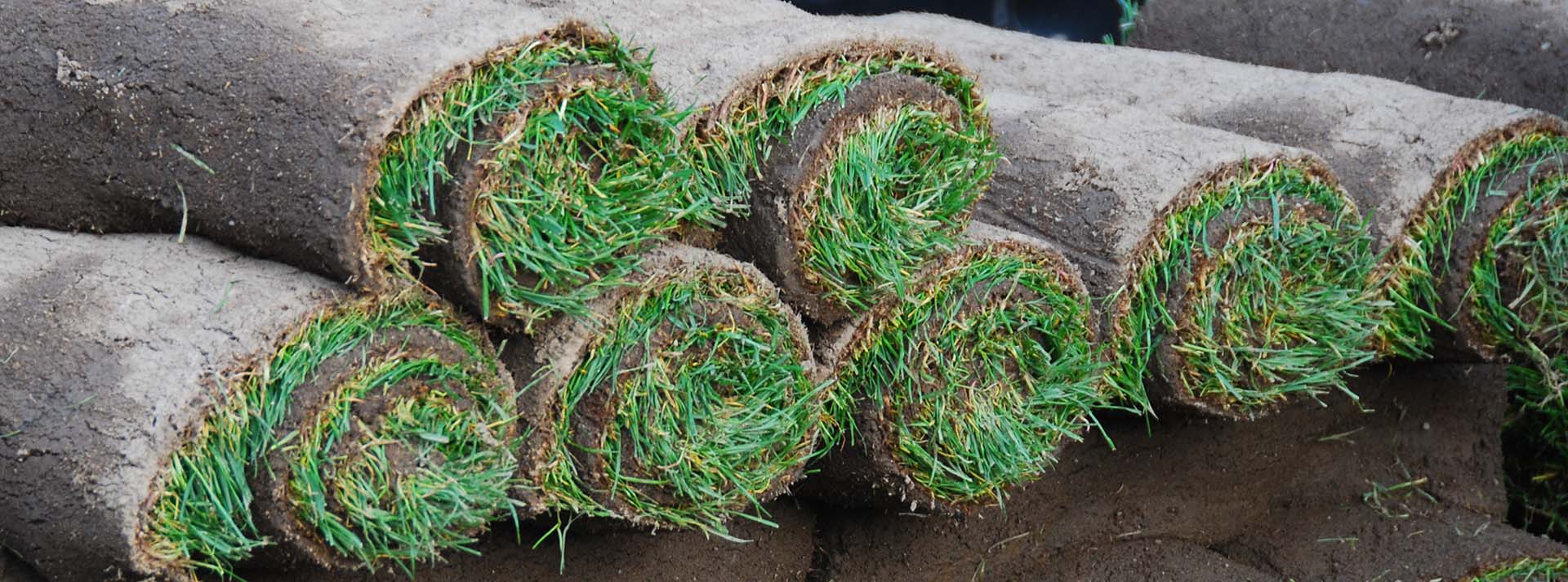 banner_lawncare.jpg