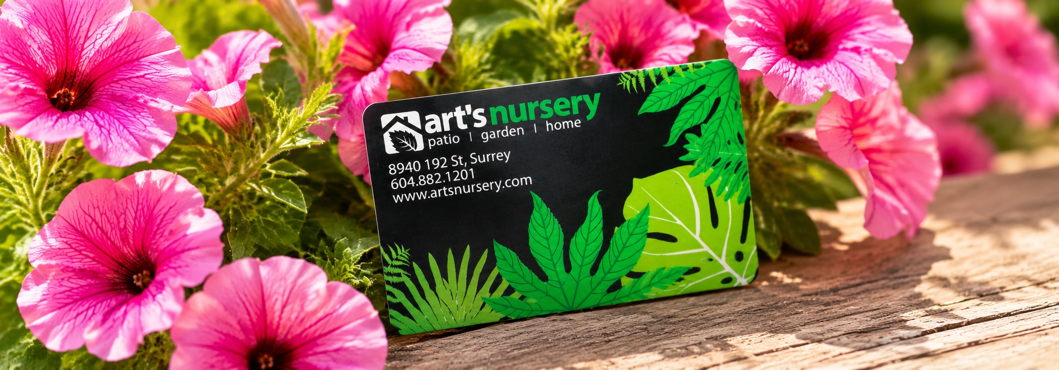 Arts_Nursery_Petunia_Giftcard_Banner(1).jpg