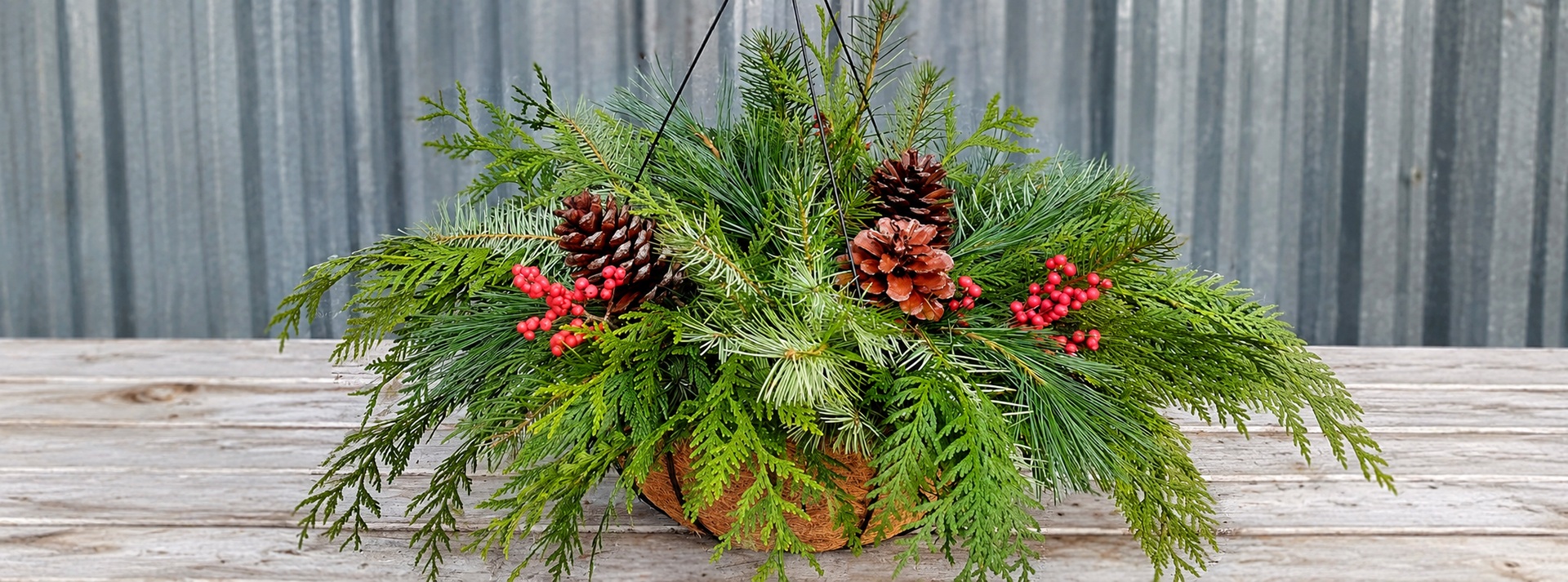 winter_hanging_basket_banner_1920x713.jpg