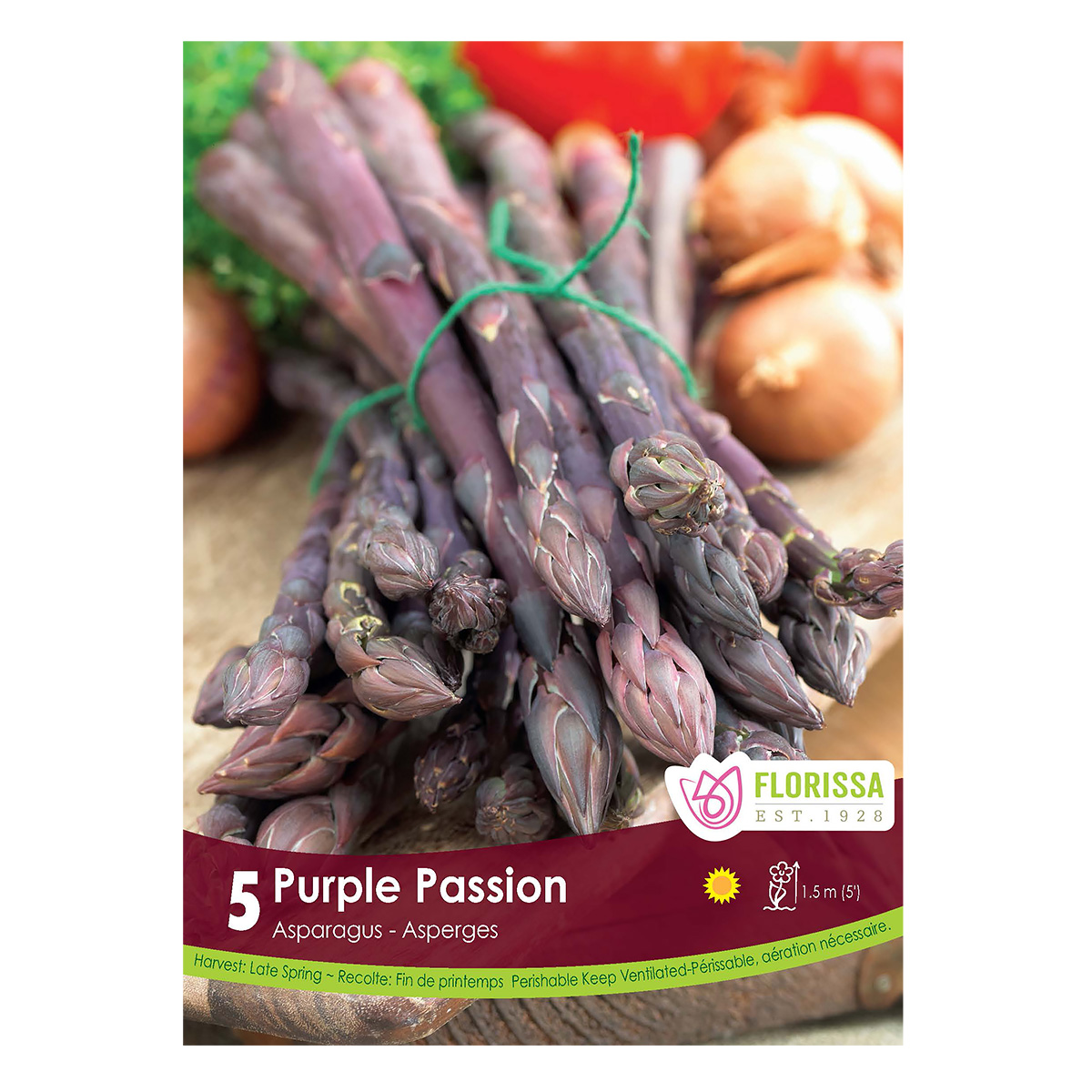 Asparagus_PurplePassion.jpg